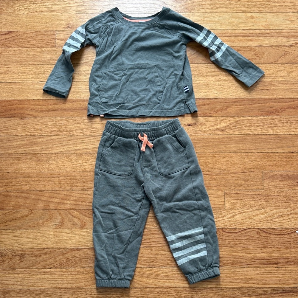 Splendid Grey Sweatpants and shirt set